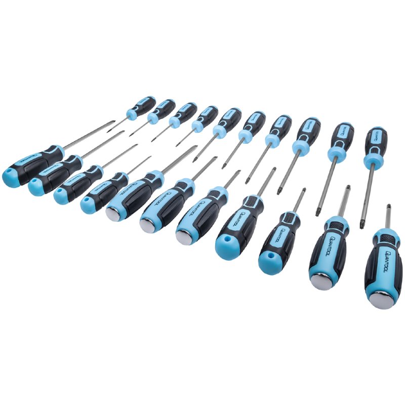 QUANTOOL Schroevendraaier set 21-delig zwart/blauw